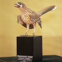 Flexomornis howei: Oldest Definitive Bird Fossils in North America ...